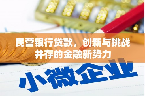 博湖民营银行贷款，创新与挑战并存的金融新势力