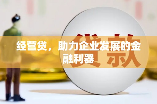 博湖经营贷，助力企业发展的金融利器
