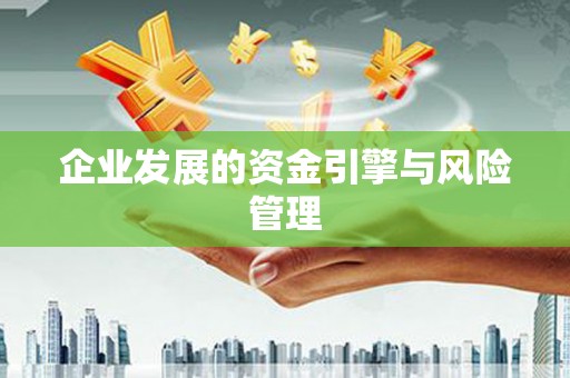 博湖企业发展的资金引擎与风险管理