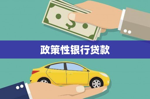 博湖政策性银行贷款