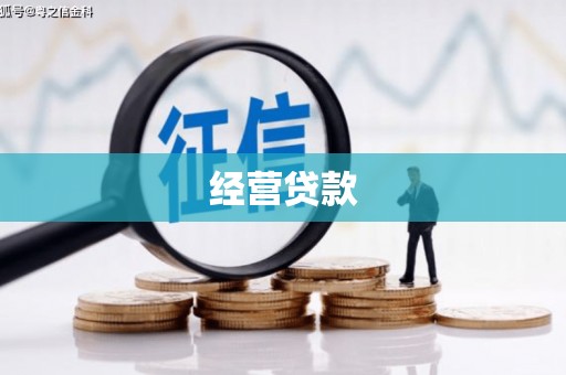博湖经营贷款