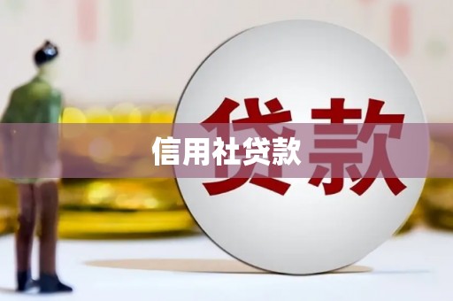 博湖信用社贷款