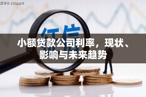 博湖小额贷款公司利率，现状、影响与未来趋势