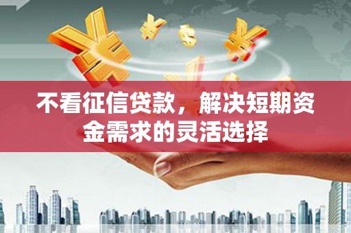 博湖不看征信贷款，解决短期资金需求的灵活选择