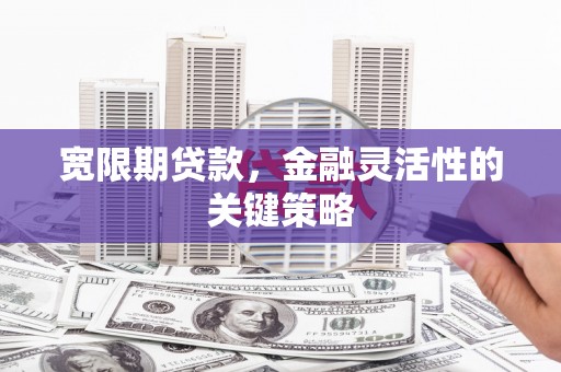 博湖宽限期贷款，金融灵活性的关键策略