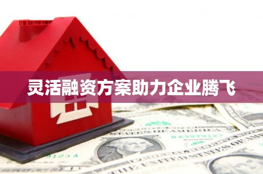 博湖灵活融资方案助力企业腾飞