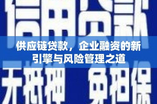 博湖供应链贷款，企业融资的新引擎与风险管理之道
