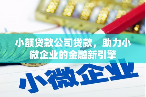 博湖小额贷款公司贷款，助力小微企业的金融新引擎