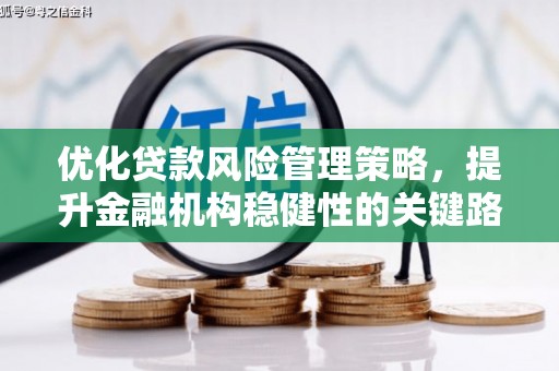 博湖优化贷款风险管理策略，提升金融机构稳健性的关键路径
