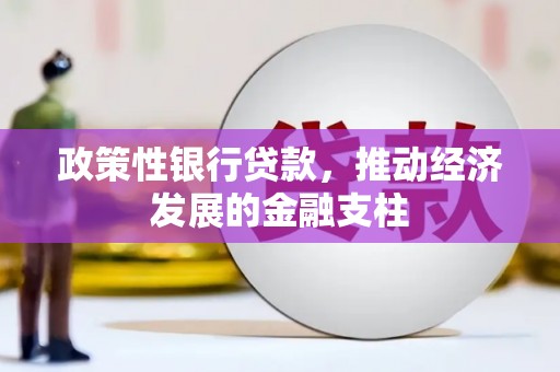 博湖政策性银行贷款，推动经济发展的金融支柱