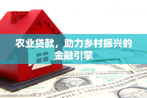 博湖农业贷款，助力乡村振兴的金融引擎
