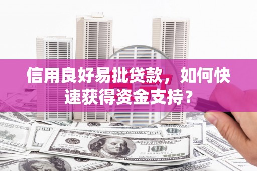 博湖信用良好易批贷款，如何快速获得资金支持？