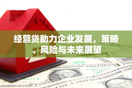 博湖经营贷助力企业发展，策略、风险与未来展望