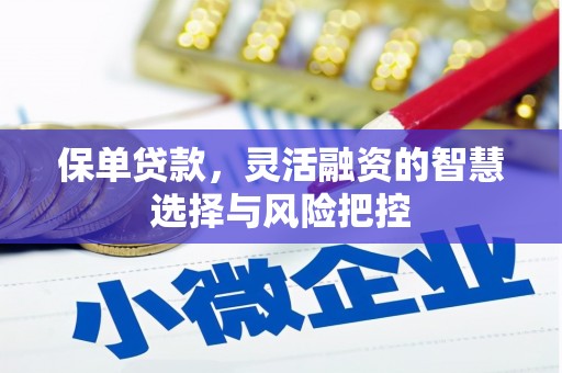 博湖保单贷款，灵活融资的智慧选择与风险把控