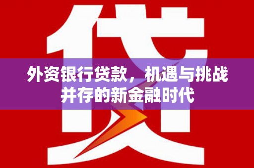 博湖外资银行贷款，机遇与挑战并存的新金融时代