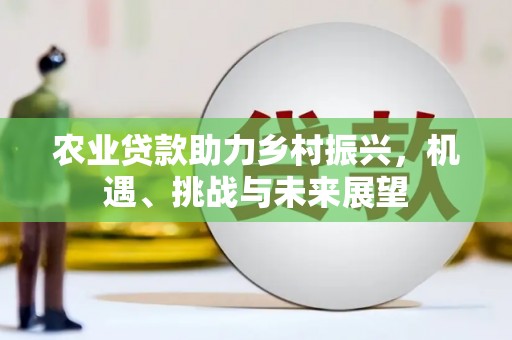 博湖农业贷款助力乡村振兴，机遇、挑战与未来展望