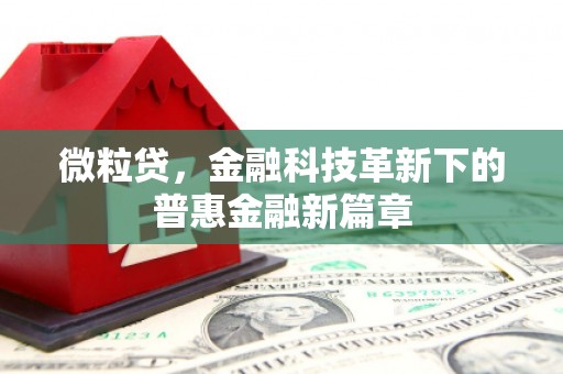 博湖微粒贷，金融科技革新下的普惠金融新篇章