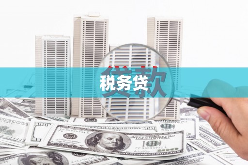 博湖税务贷