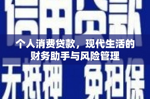 博湖个人消费贷款，现代生活的财务助手与风险管理