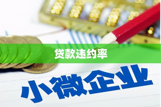 博湖贷款违约率