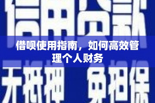 博湖借呗使用指南，如何高效管理个人财务