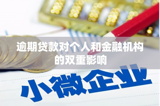 博湖逾期贷款对个人和金融机构的双重影响