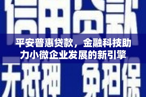 博湖平安普惠贷款，金融科技助力小微企业发展的新引擎