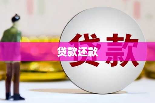 博湖贷款还款