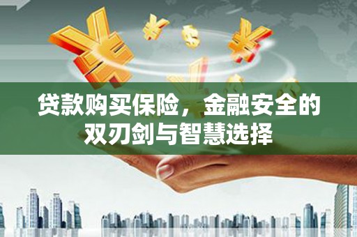 博湖贷款购买保险，金融安全的双刃剑与智慧选择