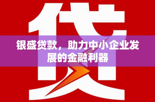 博湖银盛贷款，助力中小企业发展的金融利器