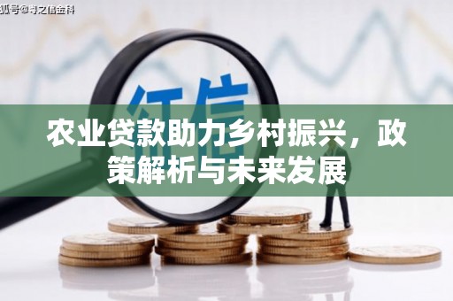 博湖农业贷款助力乡村振兴，政策解析与未来发展