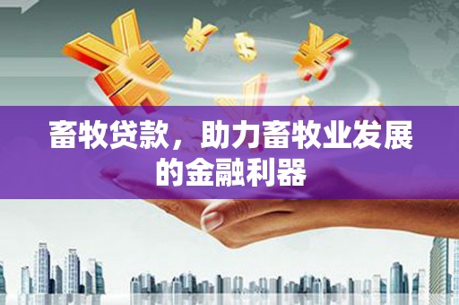博湖畜牧贷款，助力畜牧业发展的金融利器