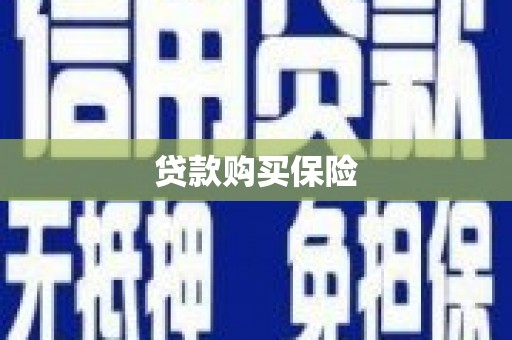 博湖贷款购买保险