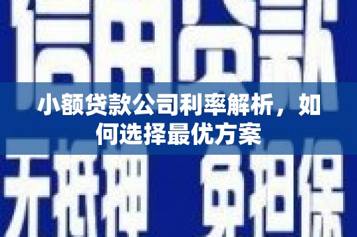博湖小额贷款公司利率解析，如何选择最优方案