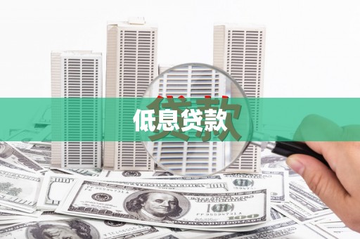 博湖低息贷款