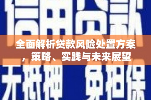 博湖全面解析贷款风险处置方案，策略、实践与未来展望