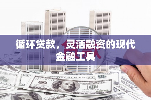 博湖循环贷款，灵活融资的现代金融工具