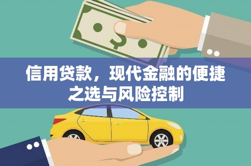 博湖信用贷款，现代金融的便捷之选与风险控制