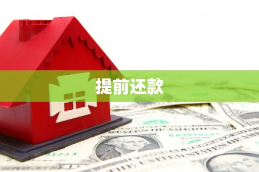 博湖提前还款