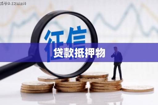 博湖贷款抵押物