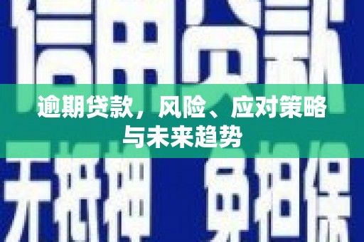 博湖逾期贷款，风险、应对策略与未来趋势