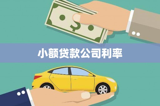 博湖小额贷款公司利率