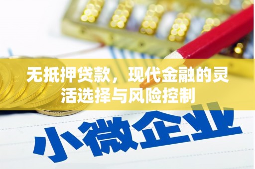 博湖无抵押贷款，现代金融的灵活选择与风险控制