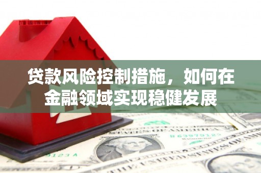 博湖贷款风险控制措施，如何在金融领域实现稳健发展