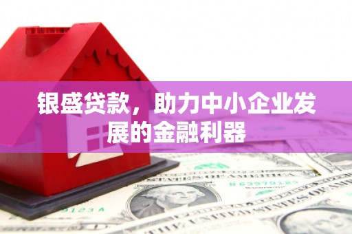 博湖银盛贷款，助力中小企业发展的金融利器