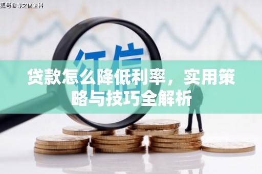 博湖贷款怎么降低利率，实用策略与技巧全解析