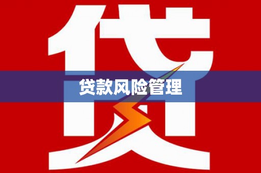 博湖贷款风险管理