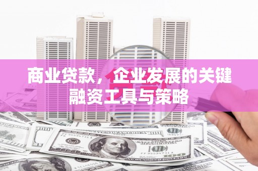 博湖商业贷款，企业发展的关键融资工具与策略