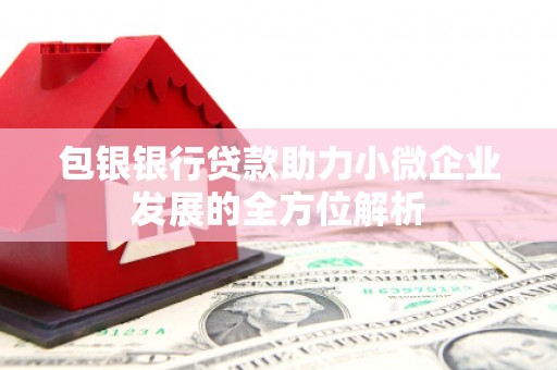 博湖包银银行贷款助力小微企业发展的全方位解析