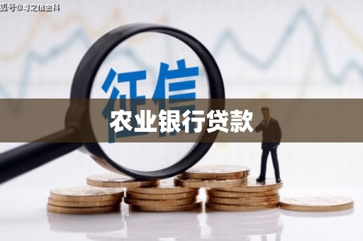 博湖农业银行贷款